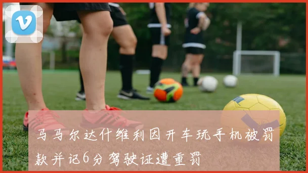 马马尔达什维利因开车玩手机被罚款并记6分驾驶证遭重罚